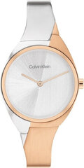 Женские часы Calvin Klein 25200236 цена и информация | Женские часы | hansapost.ee