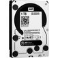 Western Digital WD1003FZEX Black HDD 1TB 3.5" 7200RPM SATA3 64MB hind ja info | Sisemised kõvakettad | hansapost.ee