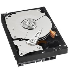 Внутренний жесткий диск Western Digital WD5003AZEX Black HDD 500GB 2.5" 7200RPM SATA3 64MB цена и информация | Внутренние жёсткие диски (HDD, SSD, Hybrid) | hansapost.ee