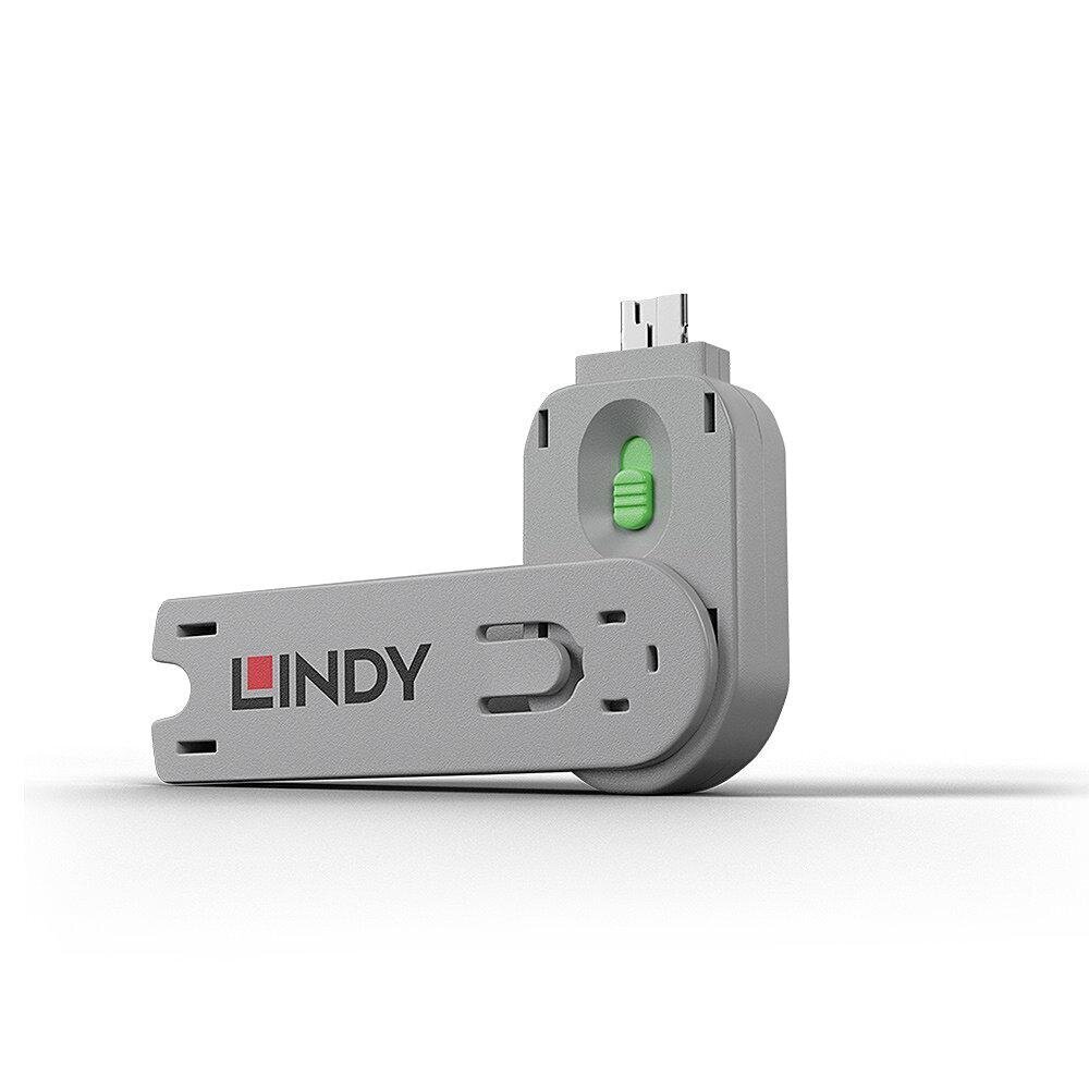 Lindy USB-A, 1 tk цена и информация | Juhtmed ja kaablid | hansapost.ee
