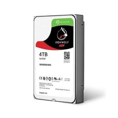 SEAGATE NAS HDD 4TB IronWolf hind ja info | Sisemised kõvakettad | hansapost.ee