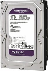 Western Digital WD Purple 1TB SATA III цена и информация | Внутренние жёсткие диски (HDD, SSD, Hybrid) | hansapost.ee