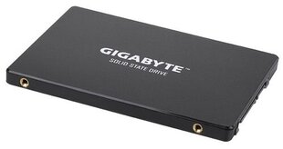 GIG GP-GSTFS31256GTND цена и информация | Внутренние жёсткие диски (HDD, SSD, Hybrid) | hansapost.ee