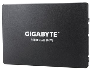 GIG GP-GSTFS31256GTND цена и информация | Внутренние жёсткие диски (HDD, SSD, Hybrid) | hansapost.ee