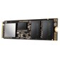 ADATA XPG SX8200 Pro 256GB PCIe Gen3x4 M.2 2280 цена и информация | Sisemised kõvakettad | hansapost.ee