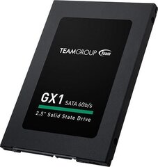 TEAMGROUP T253X1240G0C101 цена и информация | Внутренние жёсткие диски (HDD, SSD, Hybrid) | hansapost.ee