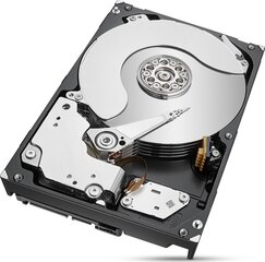 Seagate ST6000NM021A цена и информация | Внутренние жёсткие диски (HDD, SSD, Hybrid) | hansapost.ee