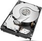 Seagate ST6000NM021A hind ja info | Sisemised kõvakettad | hansapost.ee