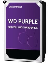 Western Digital WD102PURZ hind ja info | Sisemised kõvakettad | hansapost.ee