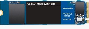 Western Digital WDS250G2B0C hind ja info | Sisemised kõvakettad | hansapost.ee
