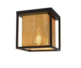Lucide потолочный светильник Sansa цена и информация | Потолочные светильники | hansapost.ee