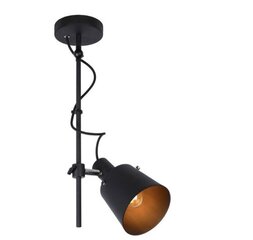 Lucide потолочный светильник Ouinny цена и информация | Потолочные светильники | hansapost.ee