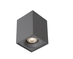 Lucide потолочный светильник Bentoo цена и информация | Потолочные светильники | hansapost.ee