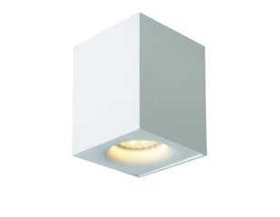 Lucide потолочный светильник Bento цена и информация | Потолочные светильники | hansapost.ee