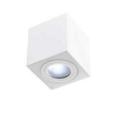 Orlicki Design потолочный светильник Bianco цена и информация | Потолочные светильники | hansapost.ee