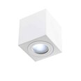 Orlicki Design потолочный светильник Bianco