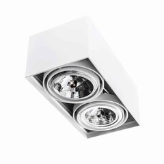 Orlicki Design потолочный светильник Cardi цена и информация | Потолочные светильники | hansapost.ee