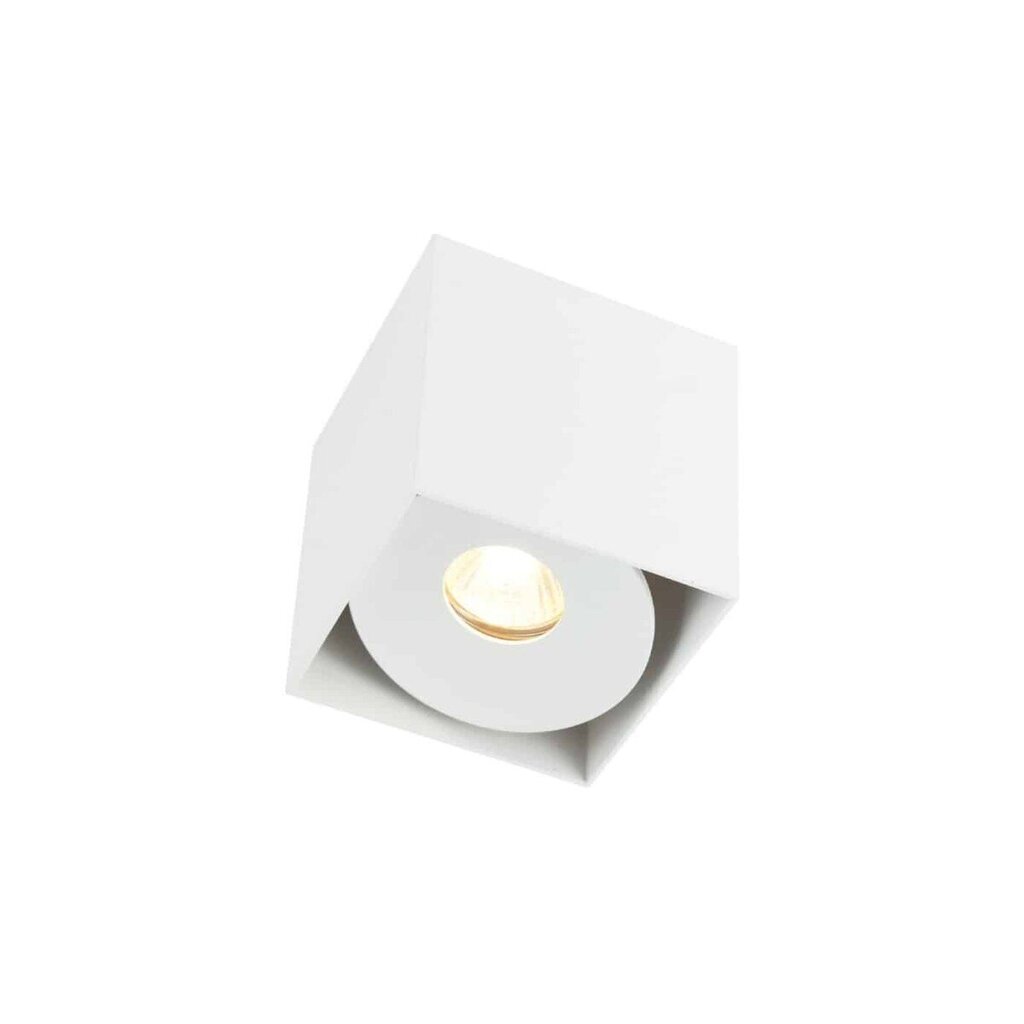 Orlicki Design laelamp Cardi hind ja info | Laelambid | hansapost.ee
