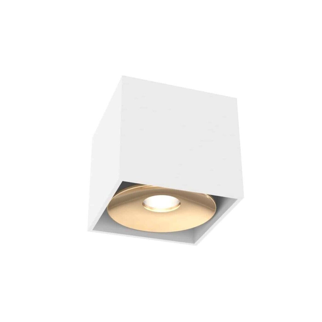 Orlicki Design laelamp Cardi цена и информация | Laelambid | hansapost.ee