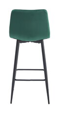 2-х стульев комплект Leobert Arceto, зеленый/черный цена и информация | Стулья для кухни и столовой | hansapost.ee