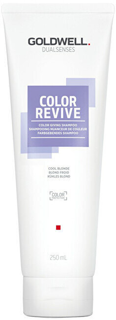 Šampoon juuksevärvi taaselustamiseks Goldwell Cool Blonde Dualsenses Color Revive, 250ml цена и информация | Šampoonid | hansapost.ee