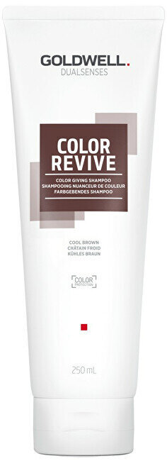 Šampoon Goldwell Dualsenses Color Revive Cool Brown, 250 ml hind ja info | Šampoonid | hansapost.ee