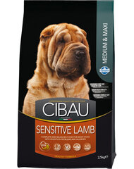 Farmina Cibau Sensitive keskmist ja suurt tõugu koertele koos tallega, 2,5 kg price and information | Dry dog food and crisps | hansapost.ee