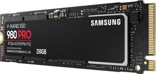 SSD 250GB 980 PRO M.2 PCIe 4.0 hind ja info | Sisemised kõvakettad | hansapost.ee