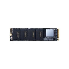 Lexar NM610 M.2 2280 NVMe 250GB SSD цена и информация | Внутренние жёсткие диски (HDD, SSD, Hybrid) | hansapost.ee