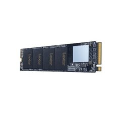 Lexar NM610 M.2 2280 NVMe 250GB SSD цена и информация | Внутренние жёсткие диски (HDD, SSD, Hybrid) | hansapost.ee
