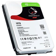 Seagate ST10000VN0008 цена и информация | Внутренние жёсткие диски (HDD, SSD, Hybrid) | hansapost.ee