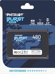 Patriot PBE480GS25SSDR hind ja info | Sisemised kõvakettad | hansapost.ee