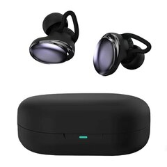 HiFuture FUSION Earbuds Black цена и информация | Наушники | hansapost.ee