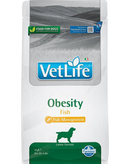 Farmina VetLife Obesity Fish корм для всех пород собак с рыбой, 2 кг цена и информация | Сухой корм для собак | hansapost.ee