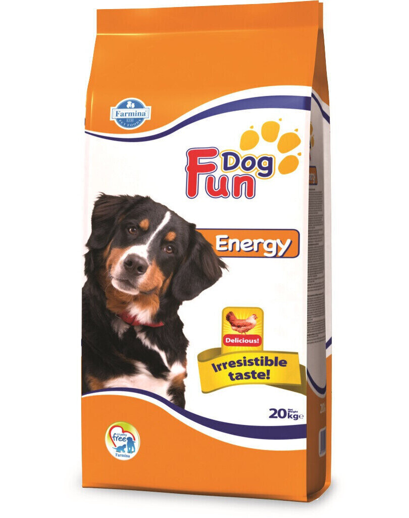 Farmina Fun Dog Energy igat tõugu aktiivsetele koertele linnulihaga, 20 kg цена и информация | Koerte kuivtoit ja krõbinad | hansapost.ee