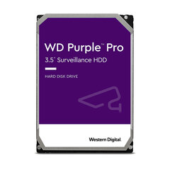 WD WD101PURP цена и информация | Внутренние жёсткие диски (HDD, SSD, Hybrid) | hansapost.ee