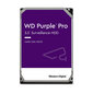 WD WD101PURP цена и информация | Sisemised kõvakettad | hansapost.ee