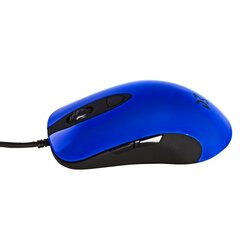 Dream Machines DM1 FPS, синий цена и информация | Компьютерные мыши | hansapost.ee