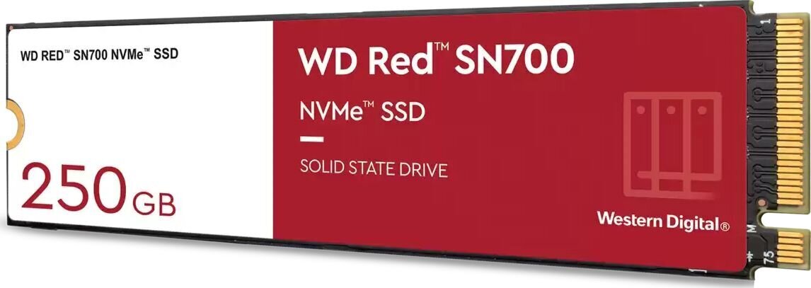 WD WDS250G1R0C цена и информация | Sisemised kõvakettad | hansapost.ee