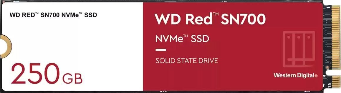 WD WDS250G1R0C hind ja info | Sisemised kõvakettad | hansapost.ee