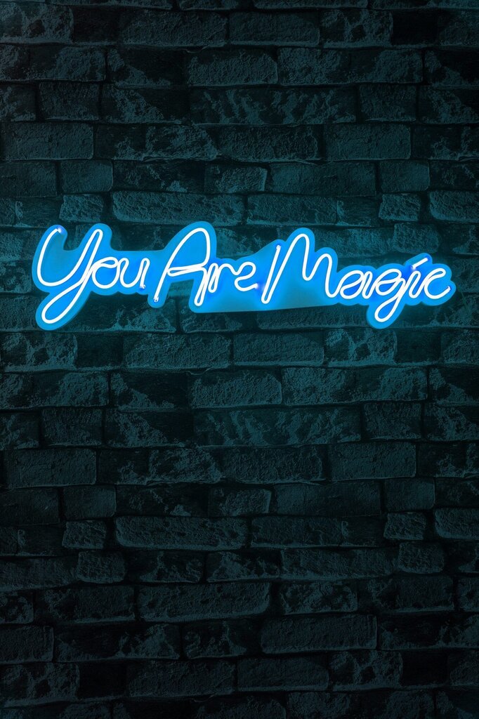 Wallity seinadekoratsioon You are magic, 18 cm цена и информация | Sisustuselemendid | hansapost.ee