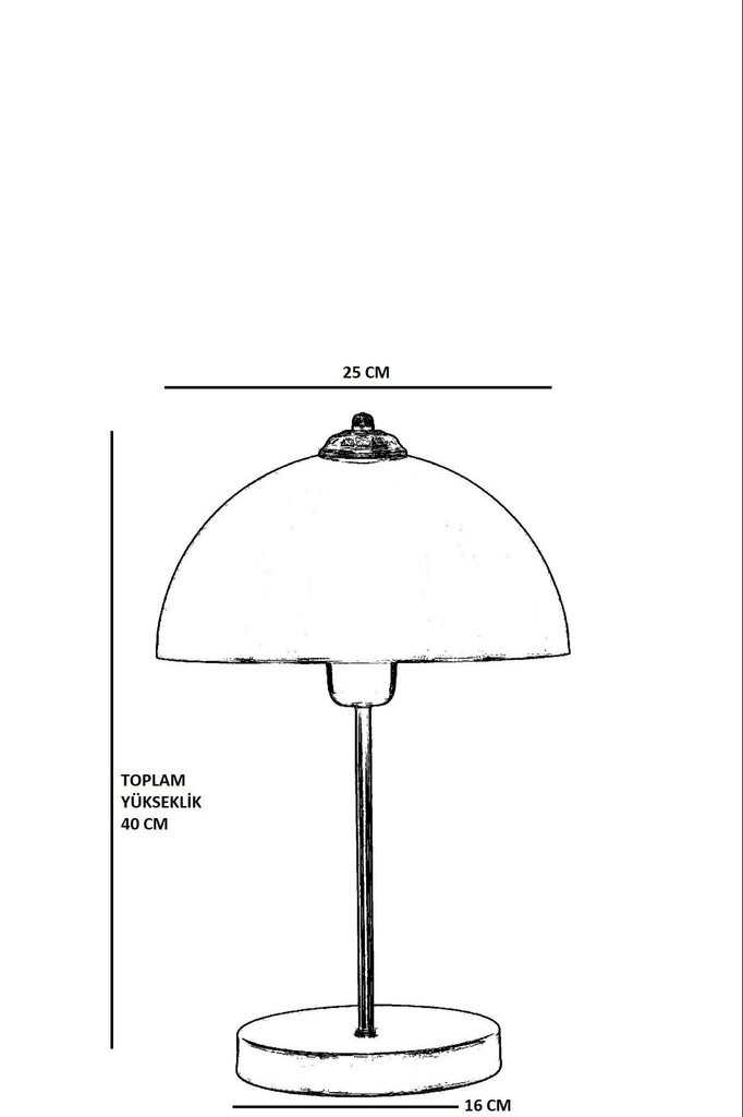 Lungo 8754-1 laualamp hind ja info | Laualambid | hansapost.ee