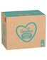 Pampers Pants Püksmähkmed, Suurus 7, 114 Mähet, 17kg+ цена и информация | Mähkmed, riidest mähkmed | hansapost.ee