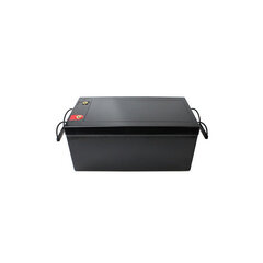 Aku LiFePO4, 1 tk. price and information | Car batteries | hansapost.ee