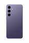 Defektiga toode. Samsung Galaxy S24 5G 8/128GB SM-S921BZVDEUE Cobalt Violet hind ja info | Defektiga tooted | hansapost.ee