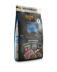 Belcando Junior Maxi suurt tõugu noortele koertele koos kodulindude ja kaladega, 4 kg price and information | Dry dog food and crisps | hansapost.ee