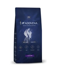 Addvena Power of Nature Senior для пожилых собак средних и крупных пород с бараниной, 2,5 кг цена и информация | Сухой корм для собак | hansapost.ee