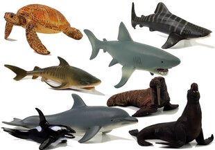 Образовательные фигурки Морские животные 8 шт. (Акулы, тюлень, дельфин, морж, черепаха) цена и информация | Игрушки для девочек | hansapost.ee