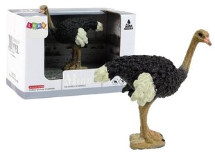 Коллекционная фигурка страуса, серия «Животные мира» цена и информация | Игрушки для мальчиков | hansapost.ee