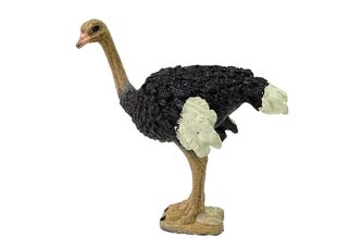 Коллекционная фигурка страуса, серия «Животные мира» цена и информация | Игрушки для мальчиков | hansapost.ee